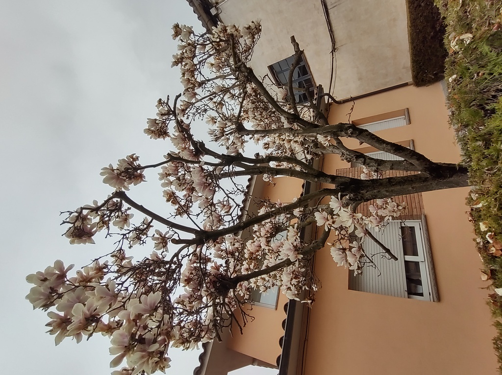 No s'ha trobat l'arxiu